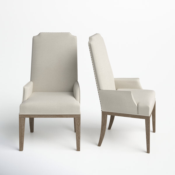 Birch Lane™ Dunnes Upholstered Arm Chair in SunBleached Cypress